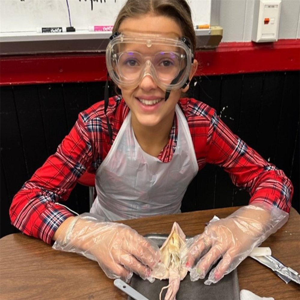  a student with a squid dissection kit